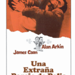 Una extraña pareja de polis [DVD]