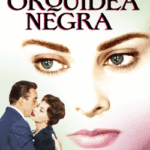 Orquídea Negra