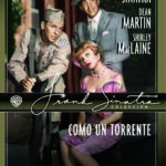 Como un Torrente [DVD]