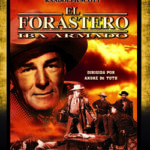 El forastero iba armado [DVD]