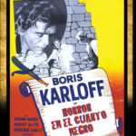 Horror en el Cuarto Negro [DVD]