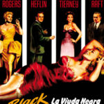 La viuda negra [DVD]