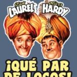 QUE PAR DE LOCOS  (STAN LAUREL Y OLIVER HARDY)