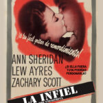 La Infiel [DVD]
