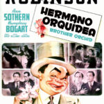 El hermano orquídea [DVD]