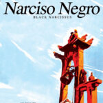 Narciso Negro [DVD]