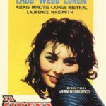 La sirena y el delfín [DVD]