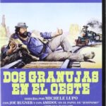 Dos granujas en el oeste [DVD]