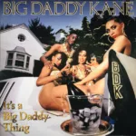 Big Daddy Kane – It's A Big Daddy Thing