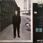 Black – Wonderful Life