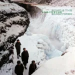 Echo & The Bunnymen – Porcupine
