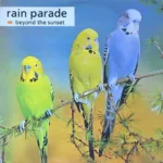 Rain Parade – Beyond The Sunset