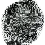 Chicago – Chicago XIV