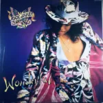 Rick James – Wonderful