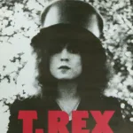 T. Rex – The Slider