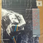 Alphaville – Forever Young - Imagen 2