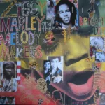 Ziggy Marley And The Melody Makers – One Bright Day