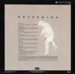 Spyro Gyra – Incognito - Imagen 2