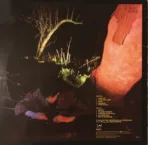 Echo & The Bunnymen – Crocodiles - Imagen 2