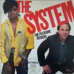 The System – The Pleasure Seekers